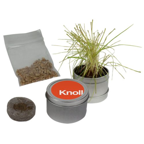 Desktop Grass Garden Desktop Grass Garden